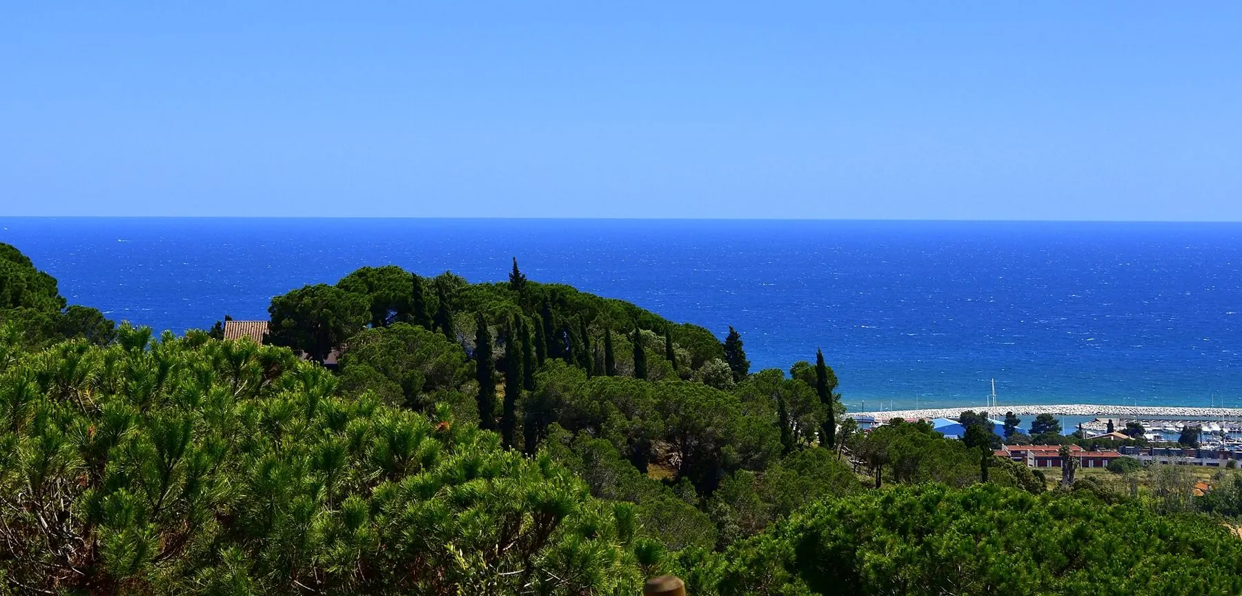 La costa del Maresme, con el mar al fondo entre pinos